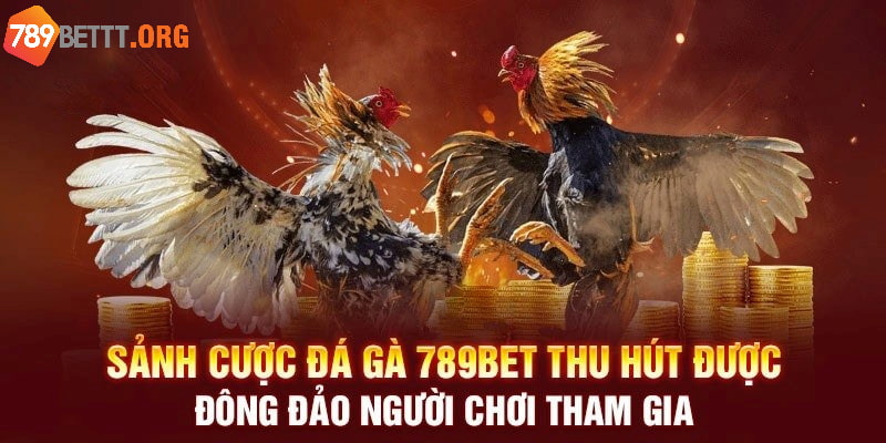 Sân chơi mang đến hàng loạt ưu điểm nổi bật cho hội viên