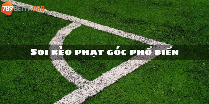 Người chơi sẽ có rất nhiều lựa chọn cược góc khác nhau